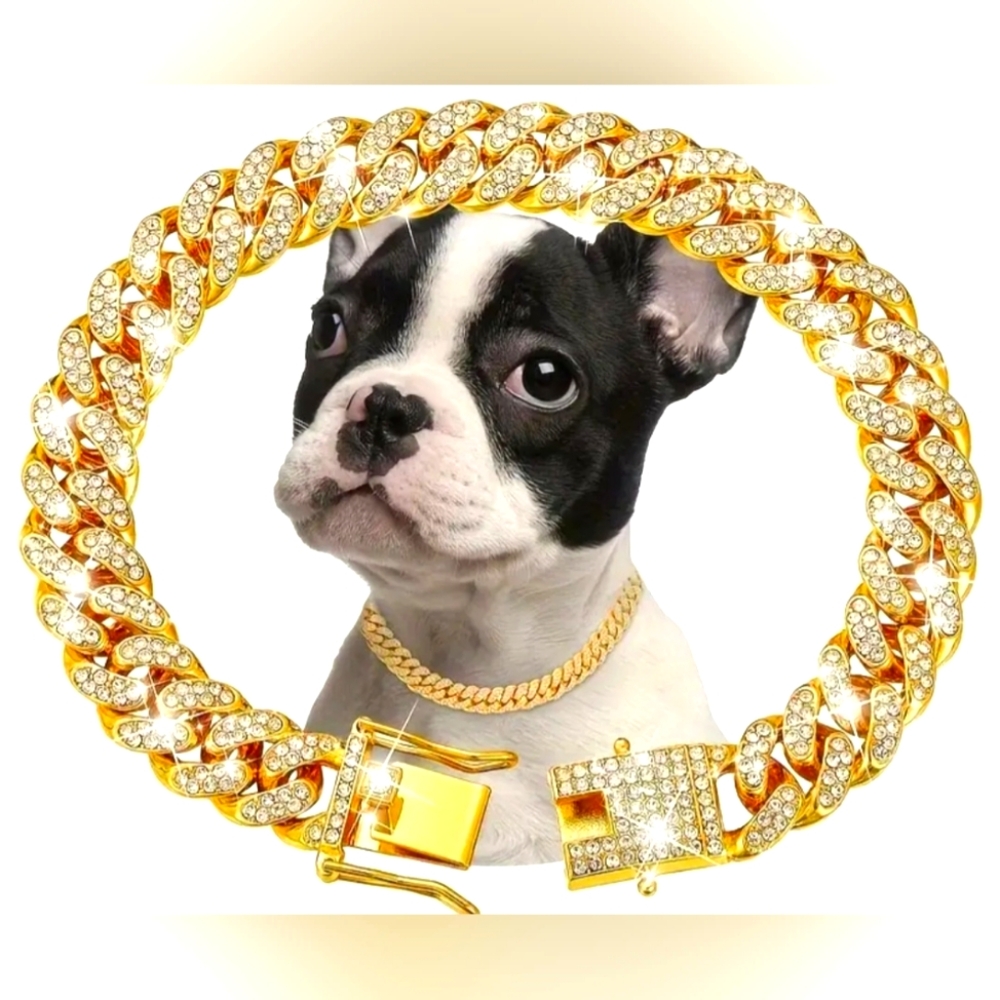 Pet Collar in All Sizes